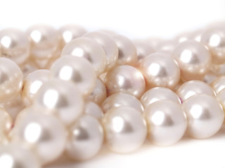 Fototapeta na wymiar Attracting shine of pearls