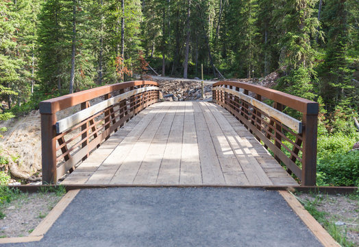 Wooden bridge in forest landscape