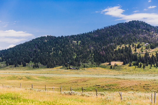 Rural Countryside in Montana on Summer Day