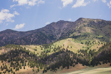 Steep Mountains in Montana on a Summer Day