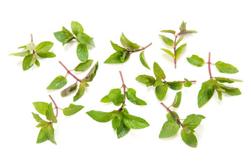 ブラックペパーミント