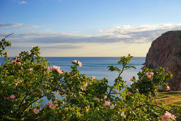 Balaclava. Crimea - 08 Jun 2016 . Natural landscape with a high cliff covered with vegetation in...