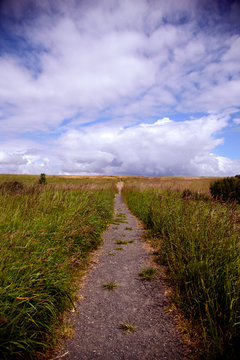 A path in a grassy field with a cloudy sky