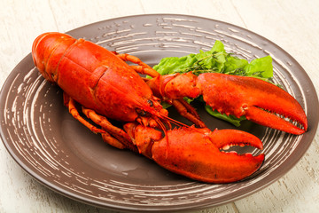 Lobster