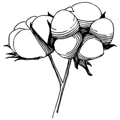 Cotton flower in a vector style isolated. Vector wildflower for background, texture, wrapper pattern, frame or border.