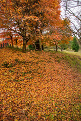 Naklejka premium 鶏足寺