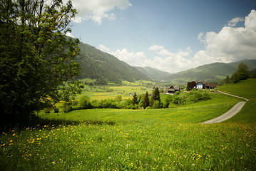 steirische Almwiesen, 