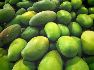 Full Frame Background of Nutritious Green Mangoes