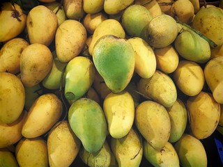 Full Frame Background of Pile of Ripe Yellow Mangoes