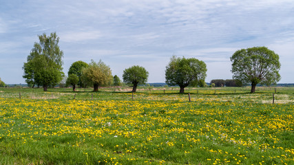 Zielone Podlasie