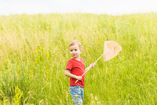 Little Boy With A Butterfly Net On A Summer Meadow