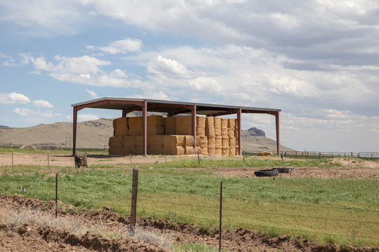 Hay Bales Stacked Under Storage Cover