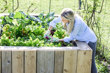 Happy woman is proud of her own raised bed