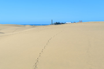 Maspalomas dunes