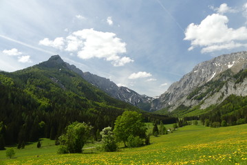 Naklejka premium steirische Bergwelt