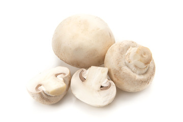 ホワイトマッシュルーム