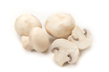 ホワイトマッシュルーム