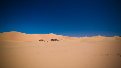 Landscape of sand dune and sandstone nature sculpture at Tamezguida in Tassili nAjjer national park, Algeria