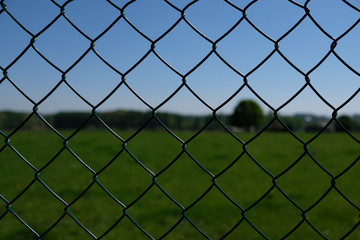 View through a fence