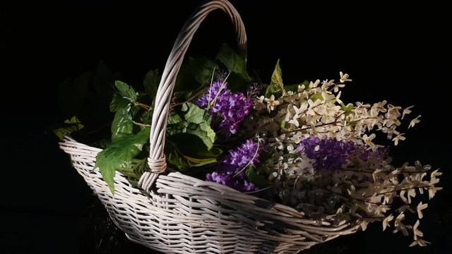 Small purple flowers in a wicker basket rotate isolated on a black background
