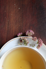 Tea made from dried oregano is a medicinal herb that has a pleasant aroma

