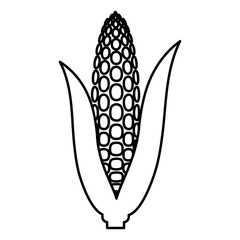 Maize icon black color illustration flat style simple image