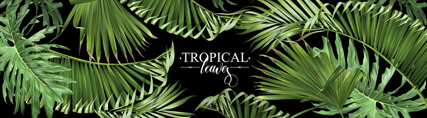 Tropical leaves web banner © purplebird