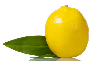 Bright yellow lemon with green leaf isolated on white. Closeup