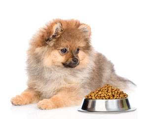 Obraz premium Spitz puppy with bowl of dry dog food. isolated on white background