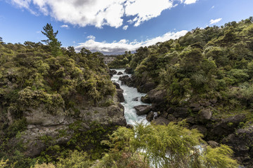 Fototapeta na wymiar Aratiatia Dam on the Waikato River, New Zealand