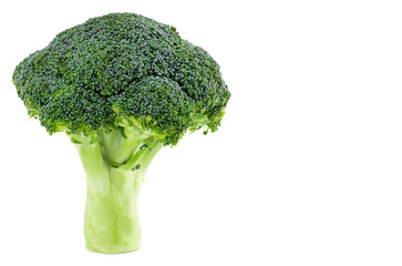 Fresh broccoli isolated on white background. With clipping path. Full depth of field