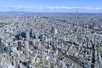 神田上空／秋葉原からスカイツリーを望む

