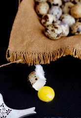 Quail egg with chicken feather on the table