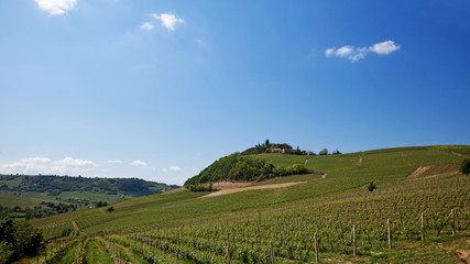 Fototapeta na wymiar Italian Landscape ( Hills in Costigliole d'Asti, Italy)