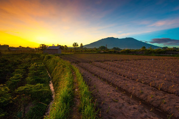 A peaceful view of nature&rsquo;s grandeur, where every detail reveals calm, depth, and endless space