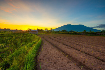 A peaceful view of nature&rsquo;s grandeur, where every detail reveals calm, depth, and endless space