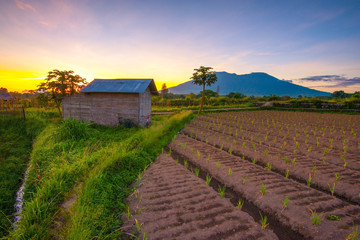 A peaceful view of nature&rsquo;s grandeur, where every detail reveals calm, depth, and endless space