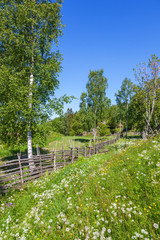 Fototapeta na wymiar Flowers on a meadow in a rural landscape with a roundpole fence