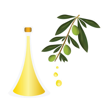 bottle with olive oil vector - greek olive oil advertisement
