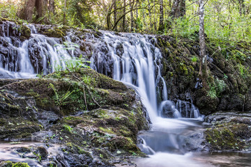 waterfall in a river
