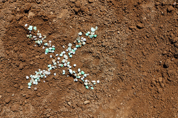Ex symbol written from chemical fertilizer on soil.