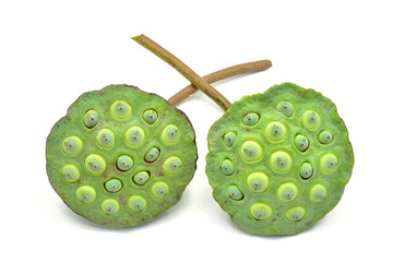 Lotus seeds green Isolated on white background.