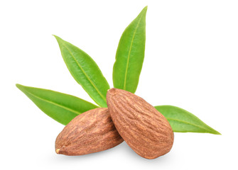 Almonds with leaves isolated on white background. Image with maximum sharpness.