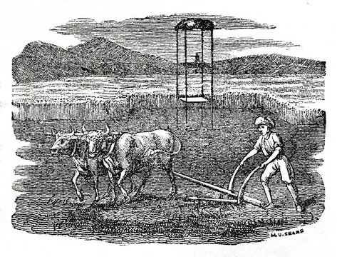 Plowing with oxen in the eastern countries (from Das Heller-Magazin, December 20, 1834)