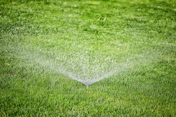 Sprinkler on the grass field