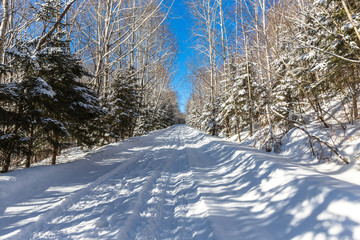 Fototapeta na wymiar snow road in winter