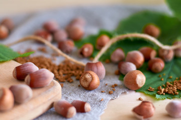 hazelnut with green leaves