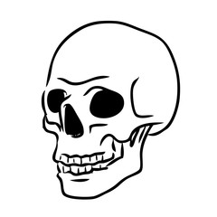 skull icon