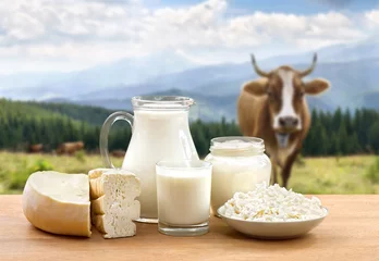 Foto auf Acrylglas Milchprodukte Milk, sour cream, cheese and cottage cheese on wooden table on background of meadow with cows in the mountains.