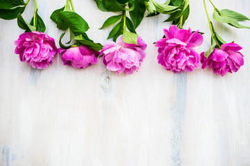 Summer flowers concept with peony